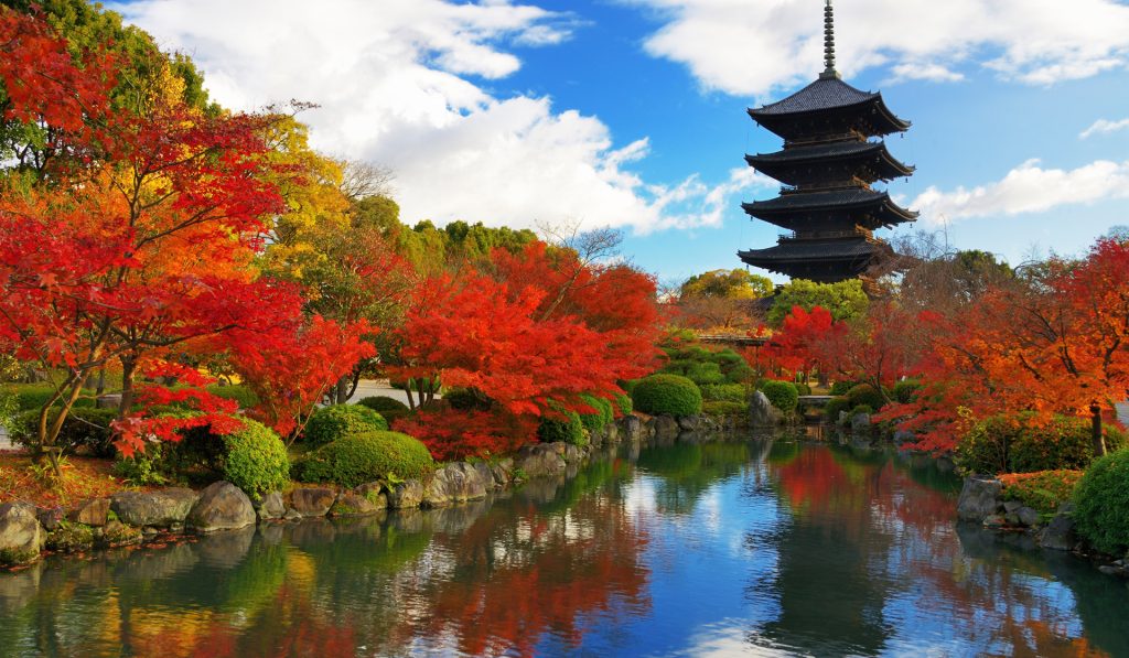 Công ty Dịch Vụ Vận Chuyển Japan Nhật Bản Việt Nam